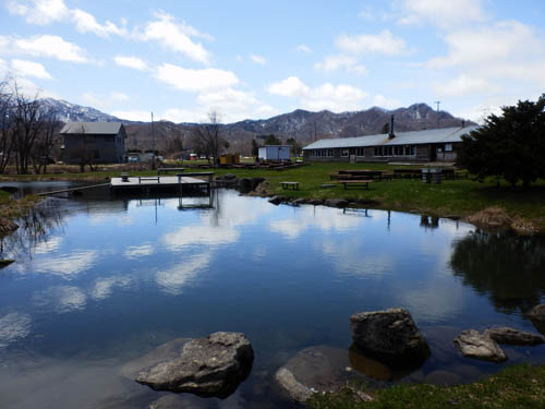 釣り堀池