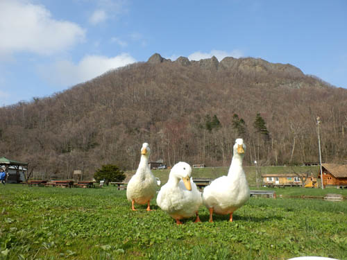 八剣山とアヒル