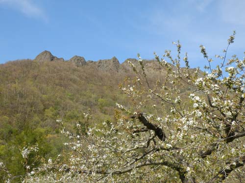 花と八剣山