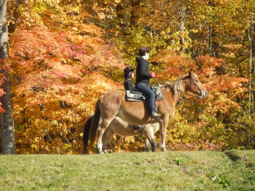 紅葉の乗馬体験