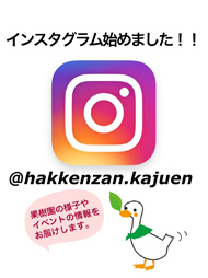 インスタ始めました